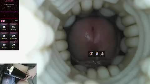 xoxowtf online show from 03-09-26, 09:52