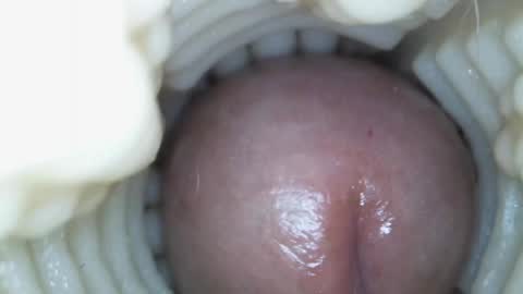 xoxowtf online show from 03-15-26, 05:41