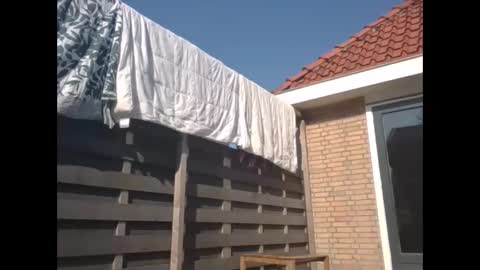 max online show from 03-09-25, 11:58