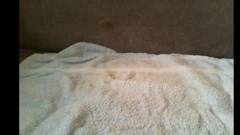 xxbigdick90xx online show from 05-12-26, 06:43