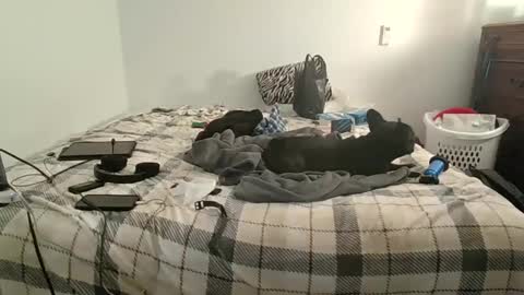 XxJasoncxX online show from 12-10-24, 06:33