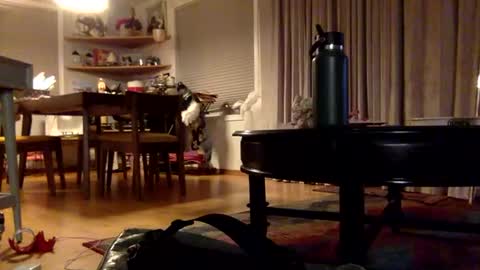 yayalala online show from 12-02-24, 03:37