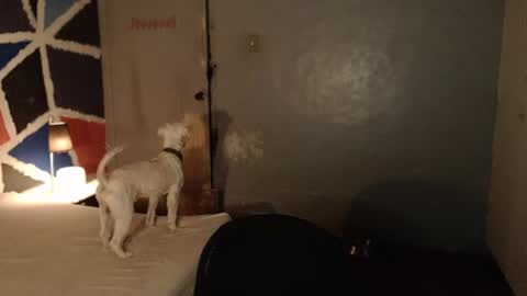 Snapshot of xxxsexydollxxx chatting on 02-04-25, 11:49 Melissa online show from 02-04-25, 11:49