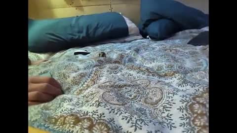 Xzbib online show from 03-10-25, 12:29