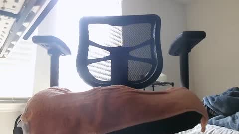 Snapshot of yahbuddy chatting on 10-03-25, 07:55 yahbuddy online show from 10-03-25, 07:55