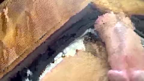 Snapshot of yamines chatting on 01-29-25, 12:35 yamines online show from 01-29-25, 12:35