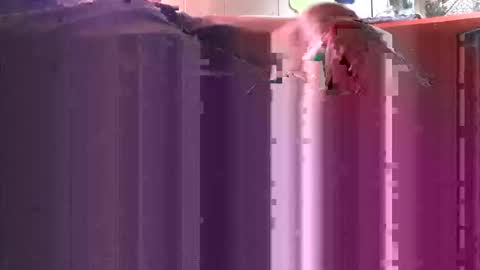 Snapshot of yangolox3 chatting on 10-04-25, 05:00 yangolox3 online show from 10-04-25, 05:00