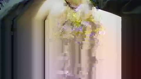 Snapshot of yangolox3 chatting on 11-14-25, 03:55 yangolox3 online show from 11-14-25, 03:55