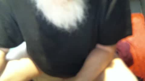 .     y e l l o w s n a k e s       . online show from 12-05-25, 06:04