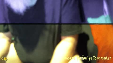 .     y e l l o w s n a k e s       . online show from 12-17-25, 11:33