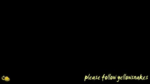 .     y e l l o w s n a k e s       . online show from 01-07-26, 08:00