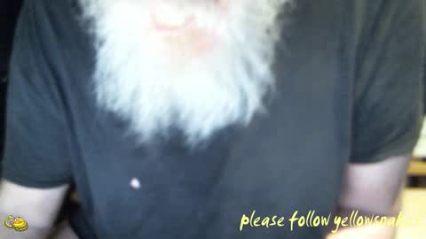 .     y e l l o w s n a k e s       . online show from 02-10-26, 09:57