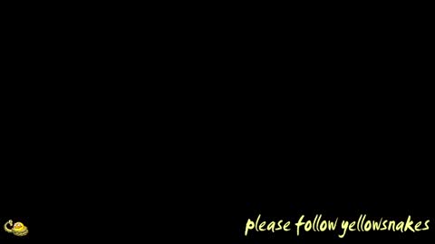 .     y e l l o w s n a k e s       . online show from 04-15-26, 11:17