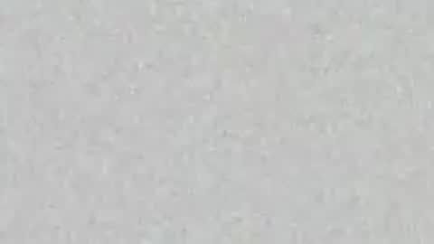 .     y e l l o w s n a k e s       . online show from 04-16-26, 01:56