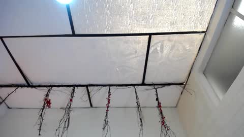 YEM online show from 03-16-26, 04:44