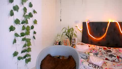 Snapshot of yemfairymcry chatting on 05-20-26, 05:30 YEM online show from 05-20-26, 05:30
