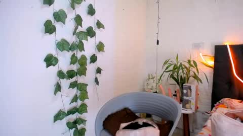 Snapshot of yemfairymcry chatting on 05-28-26, 04:59 YEM online show from 05-28-26, 04:59