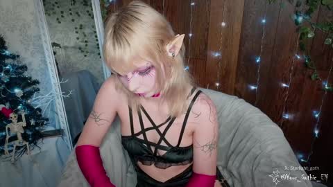 Snapshot of your_gothic_elf chatting on 12-26-24, 01:54 Stella online show from 12-26-24, 01:54