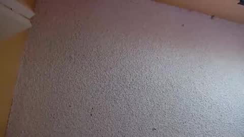 Snapshot of your_king_of_hearts chatting on 03-05-26, 07:21 Sophiestar online show from 03-05-26, 07:21