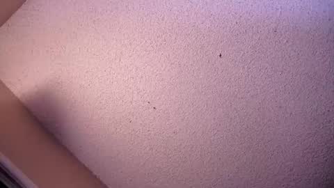 Sophiestar online show from 05-26-26, 07:04