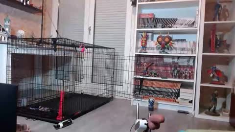 Snapshot of your_sissy_bitch chatting on 02-19-26, 07:10 Owned by Hell On Heels online show from 02-19-26, 07:10