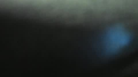 Evelline online show from 01-11-25, 03:20