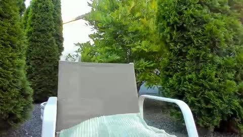 Snapshot of yourjackdick chatting on 06-11-26, 04:32 Jacky online show from 06-11-26, 04:32