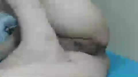 Snapshot of yummy72747 chatting on 07-14-26, 10:32 yummy72747 online show from 07-14-26, 10:32
