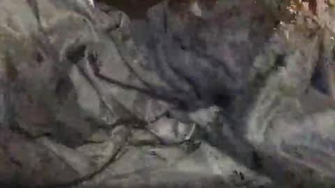 Snapshot of yungin470 chatting on 02-25-26, 08:46 yungin470 online show from 02-25-26, 08:46