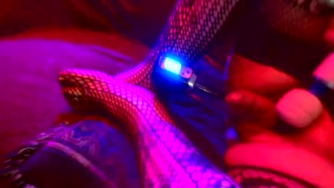 Snapshot of z0rl0c chatting on 10-04-25, 05:38 Z0RL0C online show from 10-04-25, 05:38