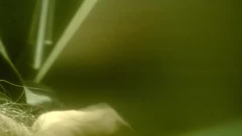 zaboski4 online show from 03-07-26, 08:33