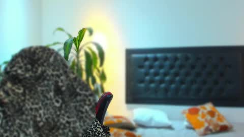 zachpri20 online show from 09-24-25, 09:23