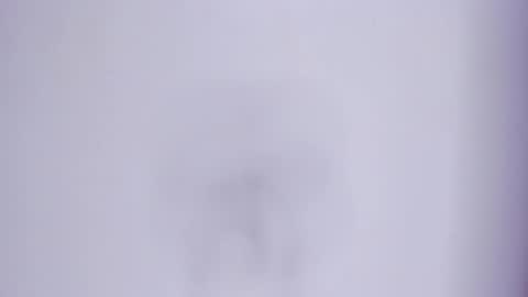 zafira online show from 03-07-26, 04:15