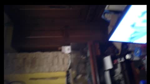 pollasucia13 online show from 12-26-24, 06:41