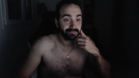 Grizzly Bear online show from 03-05-25, 06:34