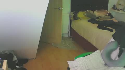 Snapshot of zedbooy chatting on 12-28-24, 04:09 Zed online show from 12-28-24, 04:09