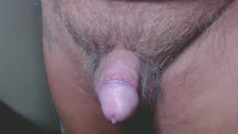 Snapshot of zerozero5555 chatting on 12-06-24, 11:47 bambi cumslut online show from 12-06-24, 11:47