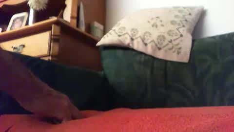 zevioo77 online show from 09-14-25, 08:30