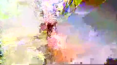 zippy001 online show from 12-06-24, 11:33