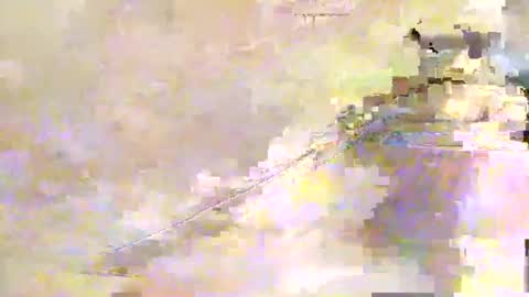 zippy001 online show from 12-07-24, 11:29