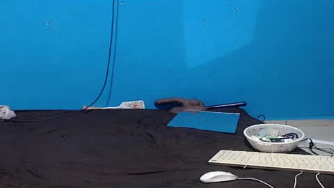 Zoe online show from 04-05-26, 06:16