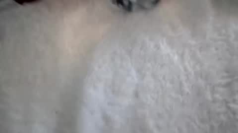 Snapshot of zoey17xo chatting on 06-08-26, 01:28 Zoey online show from 06-08-26, 01:28