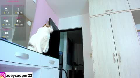 zoey  Independent model online show from 11-15-25, 01:36