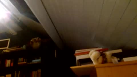 Snapshot of zolexthomas chatting on 01-15-25, 04:43 zolexthomas online show from 01-15-25, 04:43