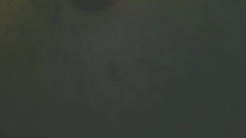 Snapshot of zomma44 chatting on 05-27-26, 03:03 zomma44 online show from 05-27-26, 03:03