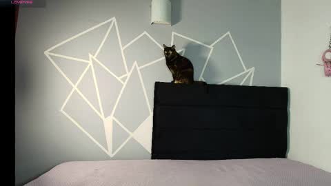 zpzphot online show from 03-25-26, 08:37