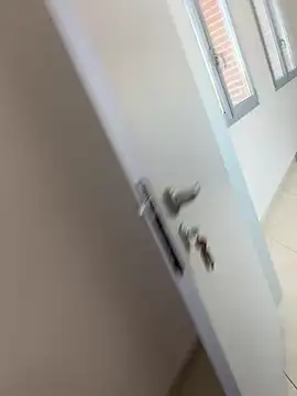 buodiculo online show from 02-27-25, 08:28