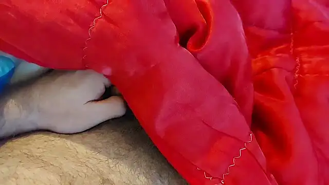 Ettarak online show from 02-08-26, 12:14