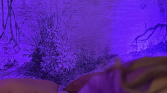 YamiraKim online show from 04-09-26, 06:13