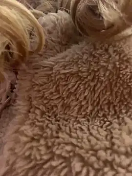 Snapshot of MessyNastyQueen chatting on 12-15-24, 04:04 MessyNastyQueen online show from 12-15-24, 04:04